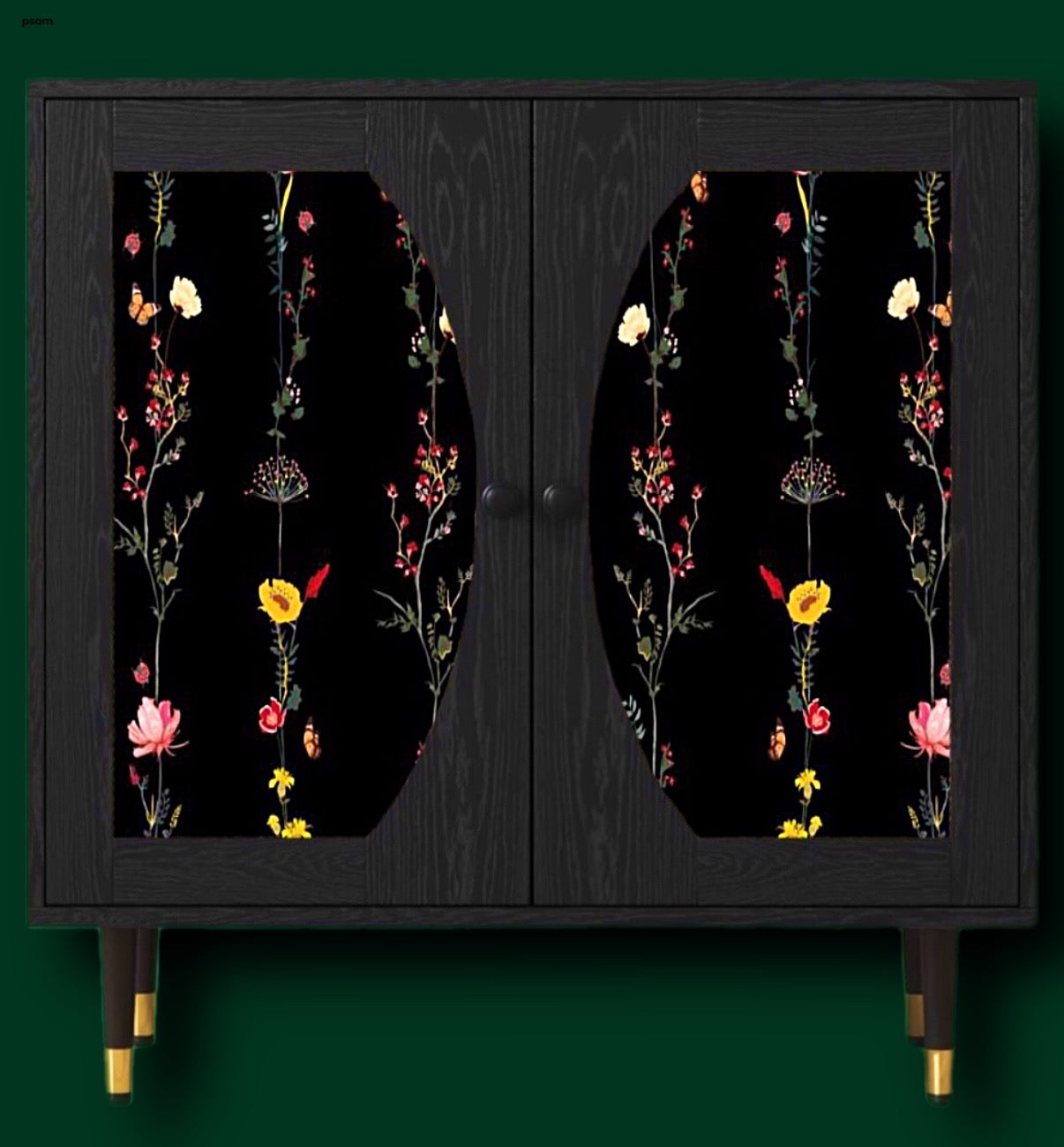 2 Doors Accent Storage Cabinet