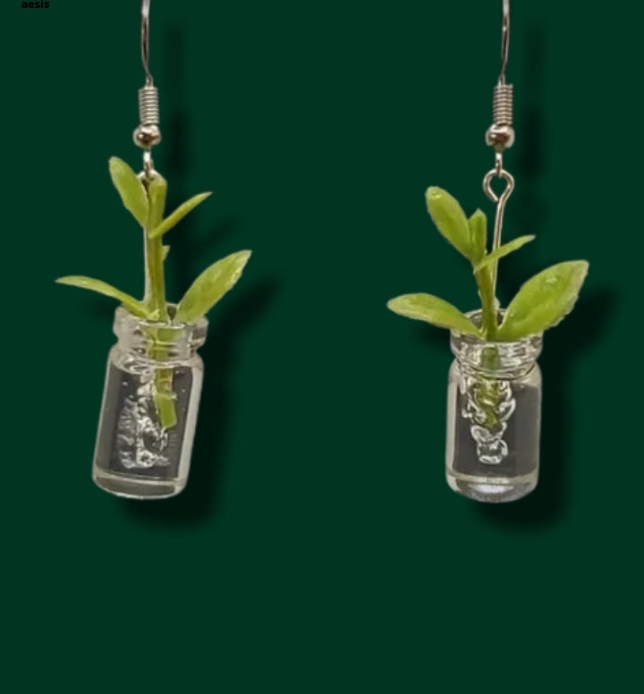 Dangling Plants Earrings