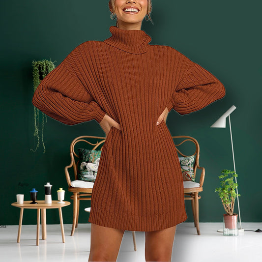 Turtleneck Long Lantern Sleeve Casual Loose Oversized Sweater Dress Soft Winter Pullover Dresse - Sonya's Warehouse